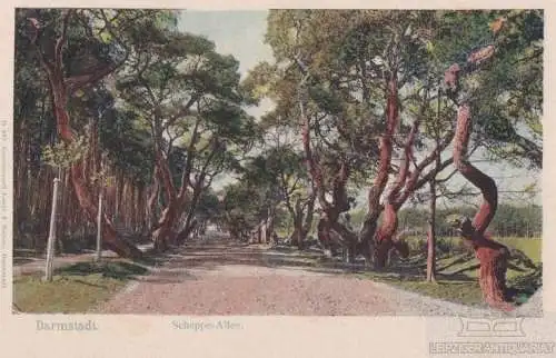 AK Darmstadt. Scheppe-Allee. ca. 1919, Postkarte. Serien Nr, ca. 1919