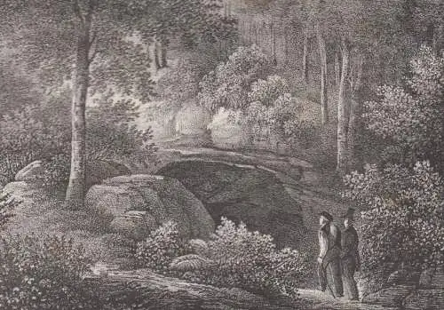 Das königliche Schloss in Nossen & Die Prinzenhöhle, 1835, Saxonia, Litho 349469