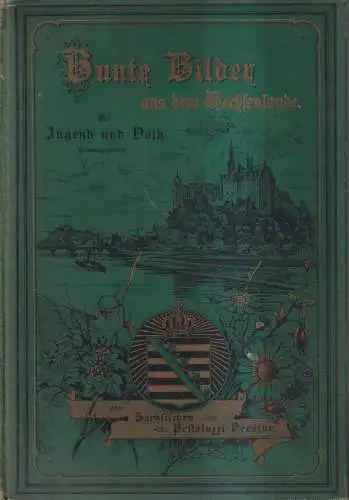 Buch: Bunte Bilder aus dem Sachsenlande 1. Band, 1898, Pestalozzi-Verein