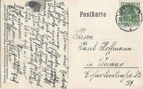 AK Zucht des großen weißen Edelschweines. Friedrichswerth... Postkarte. Ca. 1913