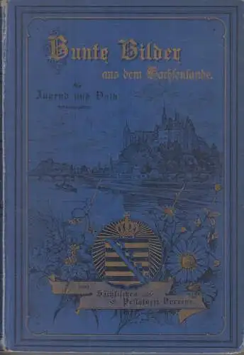 Buch: Bunte Bilder aus dem Sachsenlande. 1. Band, 1896, gebraucht, gut