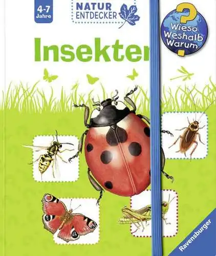 Buch: Insekten, Gernhäuser, Susanne, 2015, Ravensburger, gebraucht, sehr gut