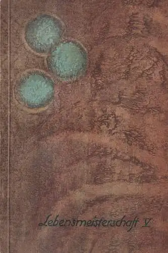 Buch: Lebensmeisterschaft Fünfter Brief, Dualim, 1919, Archiv für Lebenskunst