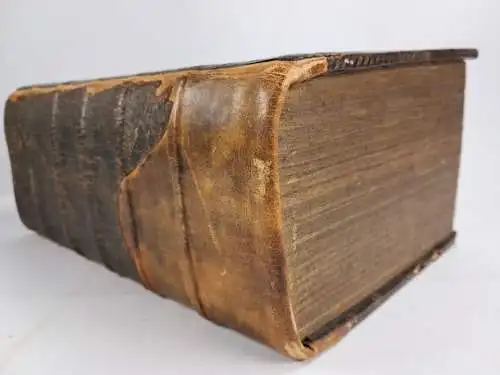 Buch: Davidische Schatz-Kammer, Johann Heinrich Weyhenmayer, 1695, Kühn