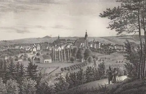 Lithografie: Dippoldiswalda, 1836, Eduard Pietzsch & Comp, Grafik, Ansicht
