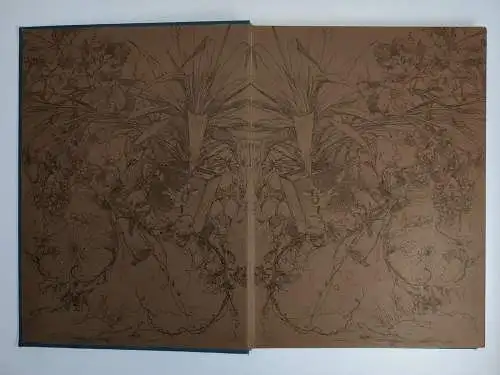 Buch: La Bella Napoli, C. W. Allers, 1893, Union Deutsche Verlagsgesellschaft