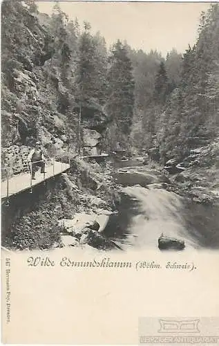 AK Wilde Edmundsklamm. Böhm. Schweiz. ca. 1902, Postkarte. Serien Nr, ca. 1902