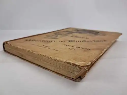 Buch: Alice's Abenteuer im Wunderland, Carroll, Lewis. 1889, Eduard Wartigs Vlg.