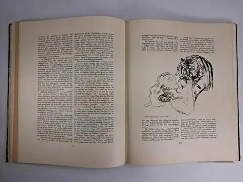 Buch: Kunst und Künstler Jahrgang VIII, 1910, Karl Scheffler, Bruno Cassirer