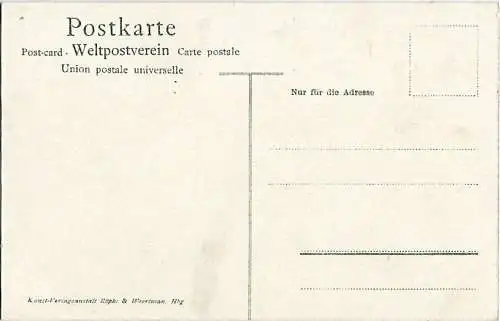 AK Hamburg. Möven auf der Alster. ca. 1905, Postkarte. Serien Nr, ca. 1905