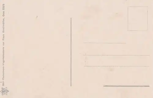 AK Dachsteingebiet aus der Vogelschau. ca. 1913, Postkarte. Serien Nr, ca. 1913