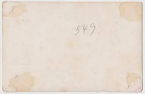 AK Schlittenfahrt ins Gebüsch, Humorvolle illustrierte Postkarte um 1900