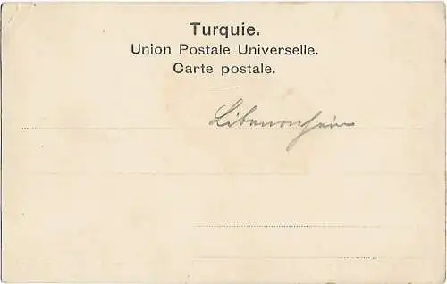 AK Les Cedres avec la neige. ca. 1908, Postkarte. Serien Nr, ca. 1908