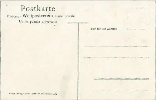 AK Hamburg. Möven auf der Alster. ca. 1905, Postkarte. Serien Nr, ca. 1905