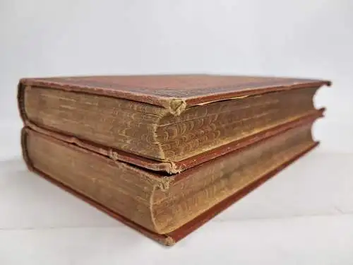 Buch: Problematische Naturen, 2 Bände, Friedrich Spielhagen, 1878, L. Staackmann