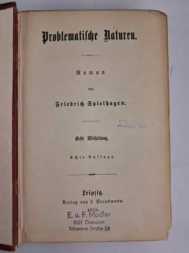 Buch: Problematische Naturen, 2 Bände, Friedrich Spielhagen, 1878, L. Staackmann