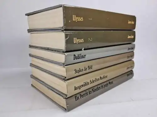 6 Bücher James Joyce: Ulysses, Dubliner, Stephen, Porträt, Schriften, Nachlese