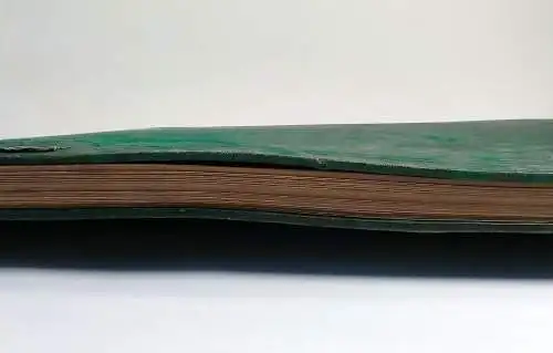 Buch: Vogelbilder aus fernen Zonen - Papageien. Reichenow, A., 1878, Th. Fischer