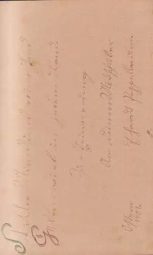 Buch: Poesie. Privates Poesiealbum, 1901, gebraucht, gut, Lederband