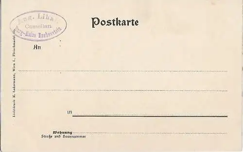 AK Burg Rauhenstein. Ruine Rauhenstein. Baden, N-Oe.. ca. 1913, Postkarte