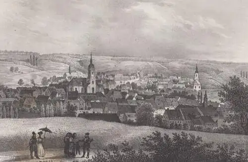 Lithografie: Lichtenstein, um 1836, Eduard Pietzsch & Comp, Saxonia, Ansicht,
