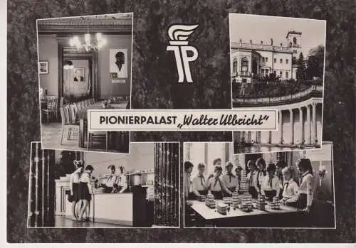 AK Dresden Pionierpalast Walter Ulbricht, 1965, Graphokopie H. Sander, Postkarte