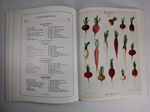 Buch: Album Benary - Alte Gemüsesorten, Jürgen Dahl, 2004, Manuscriptum