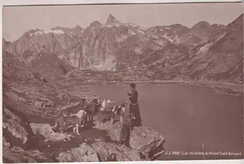 AK Lac et chiens du Grand Saint Bernard, Jullien freres, Phot Editeurs