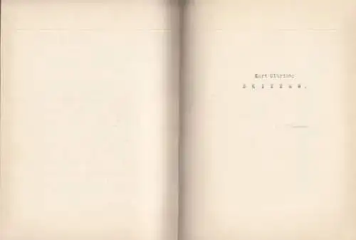 Buch: Durch die Bayrischen Alpen, Pfitzner, Richard. 1923, gebraucht, gut