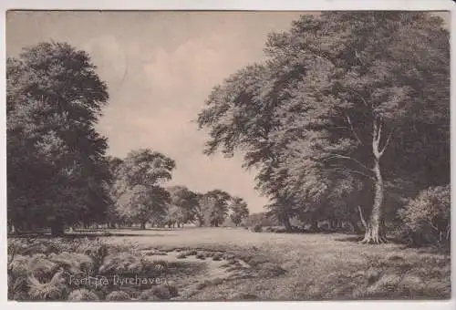 AK Parti fra Dyrehaven, ca. 1909, Postkarte, gelaufen, gebraucht, gut