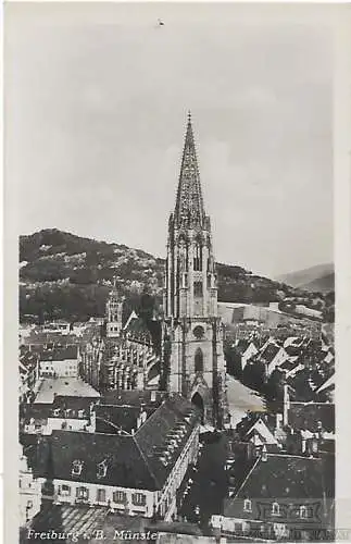 AK Freiburg i.B. Münster. ca. 1912, Postkarte. Ca. 1912, Verlag H. Sting