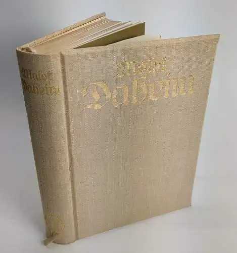 Buch: Daheim, Roman, Hektor Malot, Anton Hoffmann Verlag, gebraucht, gut