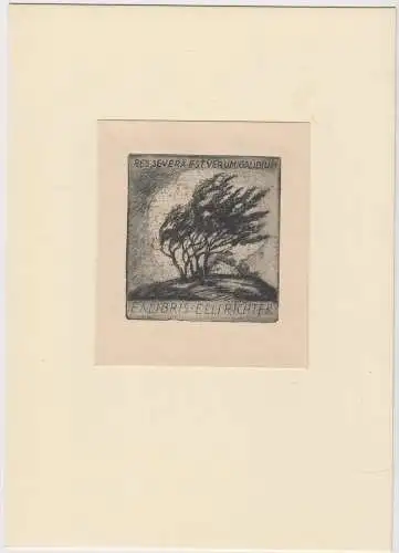 Original Grafik Exlibris: Elli Richter, Bäume, Radierung, sehr guter Zustand