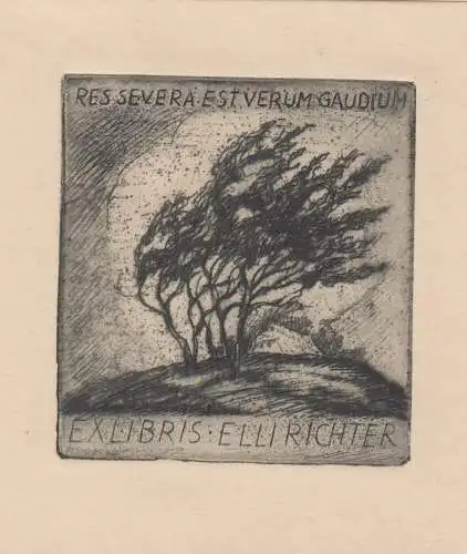 Original Grafik Exlibris: Elli Richter, Bäume, Radierung, sehr guter Zustand