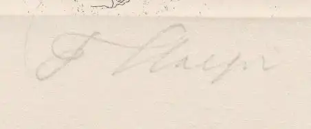 Grafik, Ferdinand Staeger, Kunstgrafik, Buch, gut erhalten, Radierung