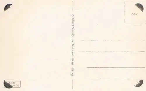 AK Leipzig. Partie am Reichsgericht, Postkarte. Nr. 256, Verlag Karl Cramer