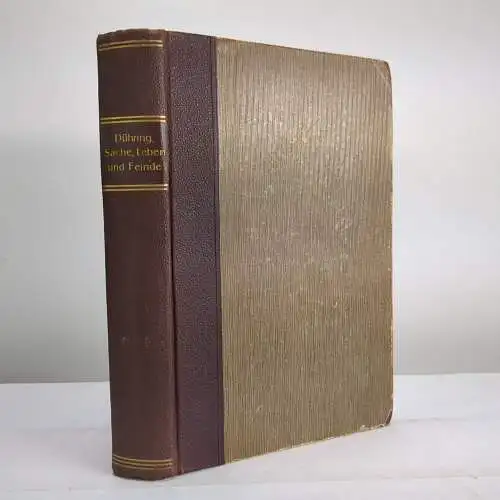 Buch: Sache, Leben und Feinde, Eugen Dühring, 1903, Verlag Theodor Thomas