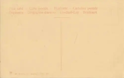 AK Leipzig. Neues Rathaus. ca. 1907, Postkarte. Nr. 252, 1907, Dr. Trenkler & Co