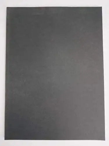 Buch: Fotografie in Aktion, Kurt Buchwald, 1992, ex pose, gebraucht, gut