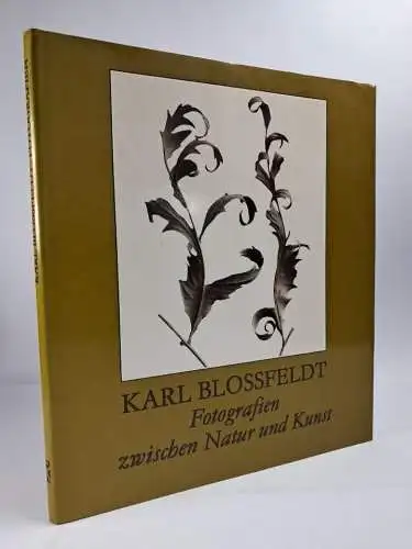 Buch: Fotografien zwischen Natur und Kunst, Karl Blossfeldt, 1990, Fotokinovlg.