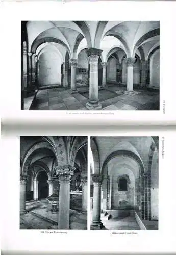 Buch: Der Dom zu Speyer, Kubach, Hans Erich / Haas, Walter. 2 Bände, 1972