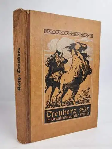 Buch: Treuherz oder Im Urwald und auf der Prärie, Richard Roth, Gebauer