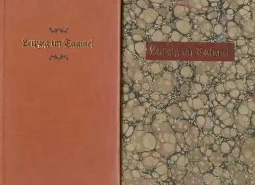 Buch: Leipzig im Taumel, Maurer, August. 1982, Gustav Kiepenheuer Verlag