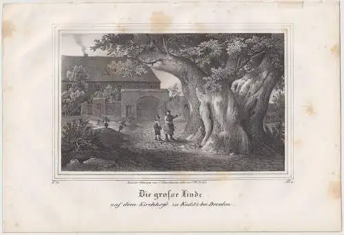 Lithografie: Die große Linde, um 1836, Eduard Pietzsch & Comp, Grafik, Ansicht