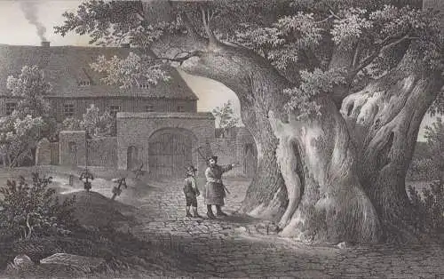 Lithografie: Die große Linde, um 1836, Eduard Pietzsch & Comp, Grafik, Ansicht