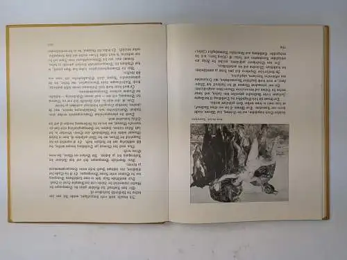 Buch: Das Erlernen der Malerei, Corinth, Lovis. Paul Cassirer, 3. Auflage