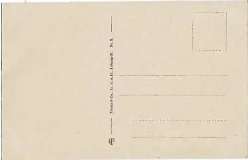 AK Altenburg S.-A. Großer Teich mit Insel. ca. 1912, Postkarte. Serien Nr