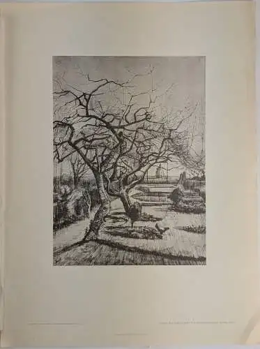 Lichtdruck: Garten, Vincent van Gogh, Max Jaffé, Lichtdruck, Federzeichnung