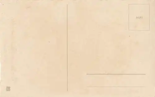 AK Die besten Glückwünsche zum neuen Jahre (unbeschrieben), Postkarte 273517