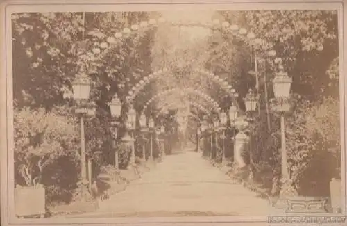 Fotografie Bal Mabille (Paris), Fotografie. Fotobild, gebraucht, gut